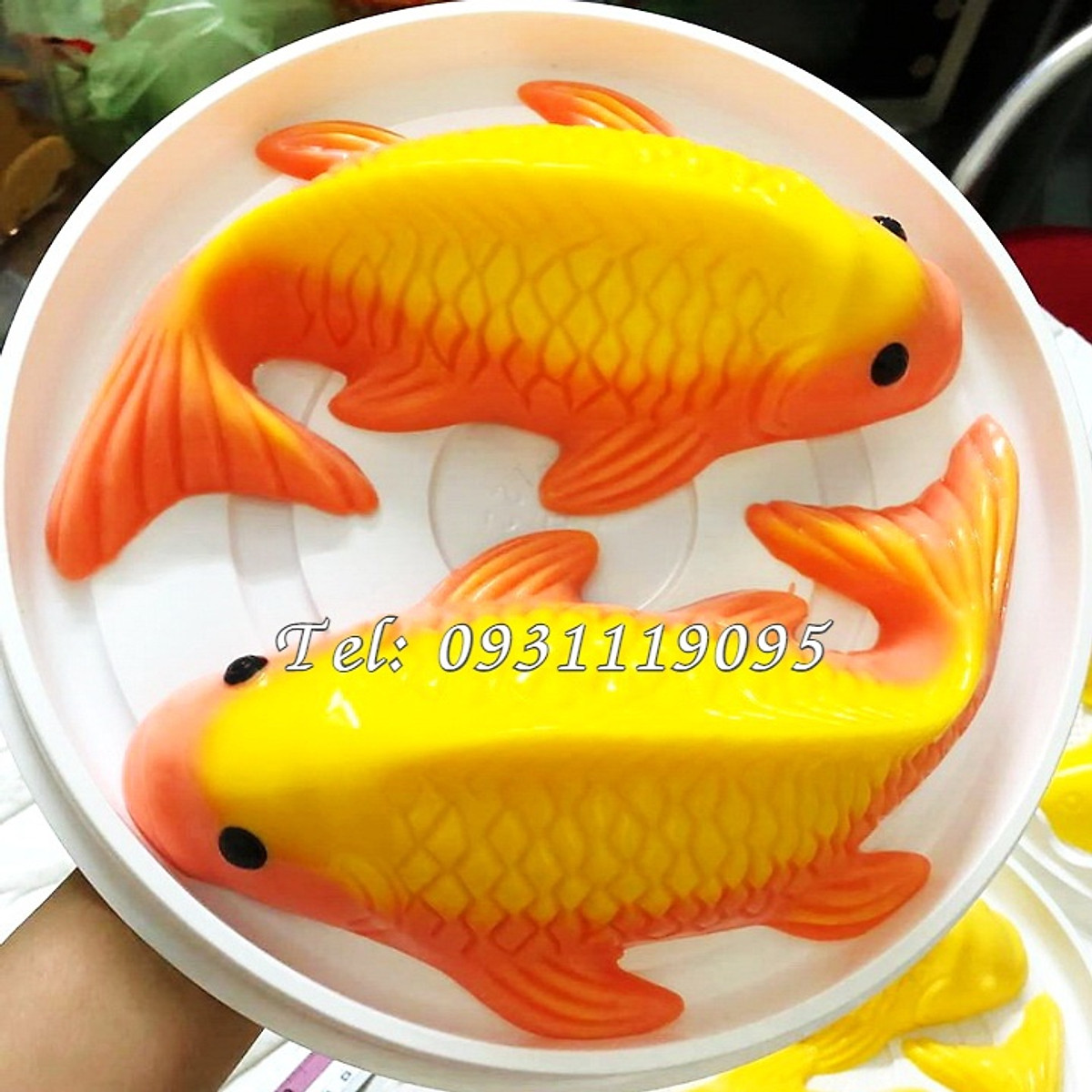 Khuôn 2 con cá chép Koi Nhật Bản – Loại 29 cm - Mã số 1734