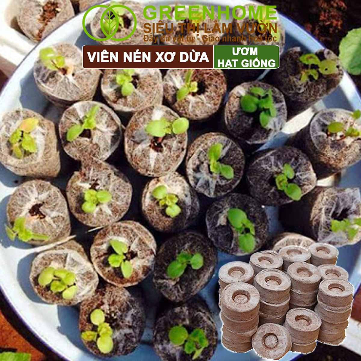 Viên Nén Xơ Dừa Greenhome, Ươm Hạt Giống, Ươm Cây Con Tiện Lợi, Đầy Đủ Dinh Dưỡng, Cây Phát Triển Nhanh
