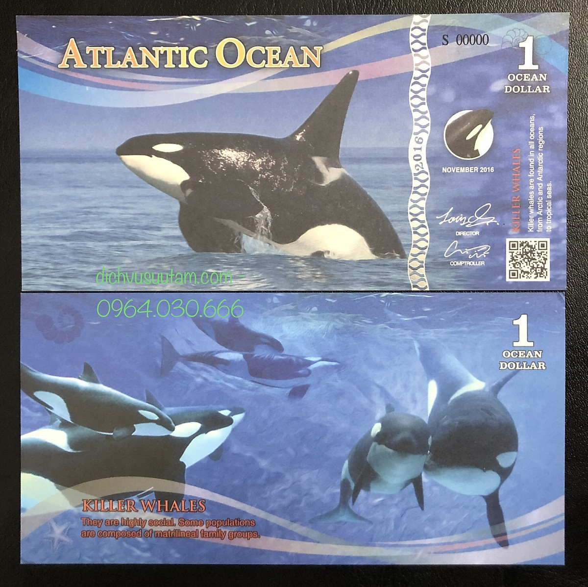 Tiền lưu niệm biên Đại Tây Dương hình ảnh Cá voi đen 1 dollar, có QR