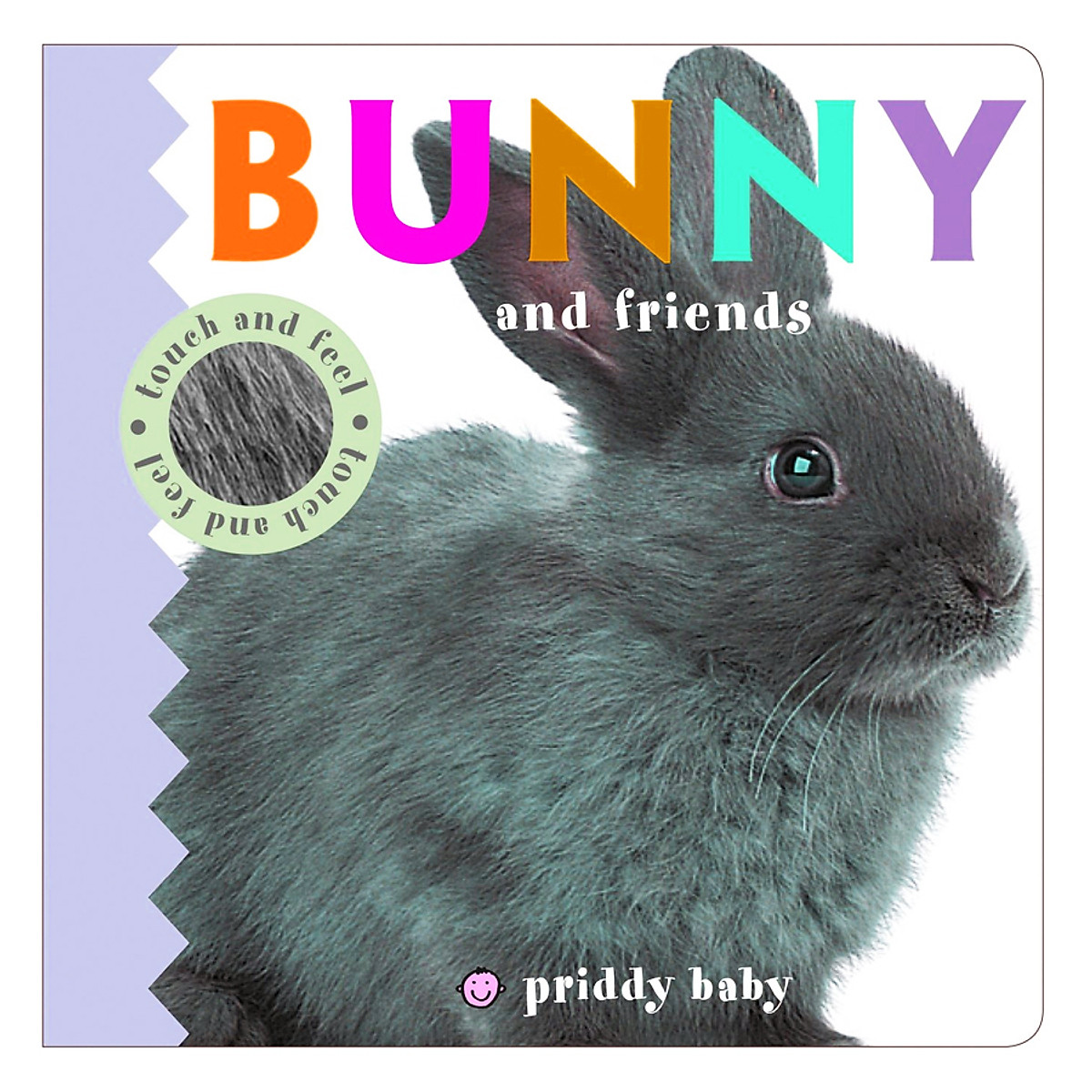 Bunny and Friends : Priddy Touch and Feel - Priddy Touch and Feel