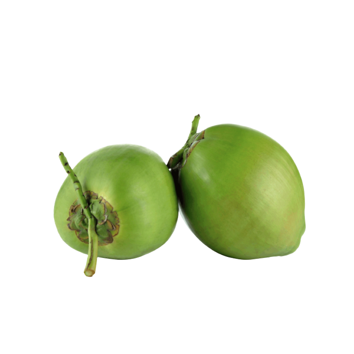 Dừa Xiêm tươi trái 550g up (trái) - Trái Cây Nội Địa