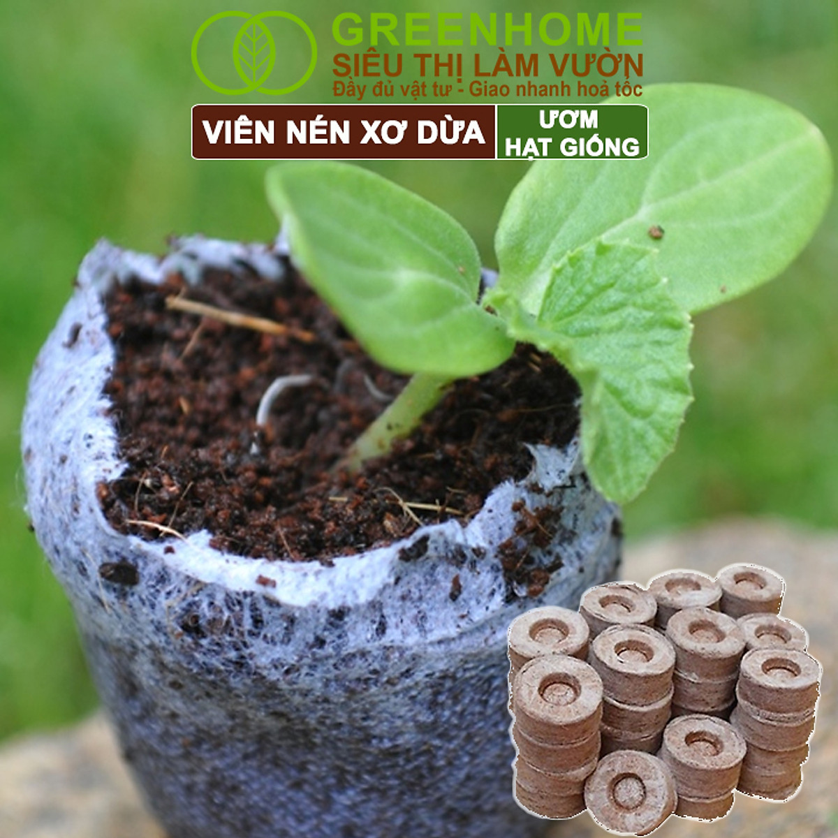 Viên Nén Xơ Dừa Greenhome, Ươm Hạt Giống, Ươm Cây Con Tiện Lợi, Đầy Đủ Dinh Dưỡng, Cây Phát Triển Nhanh