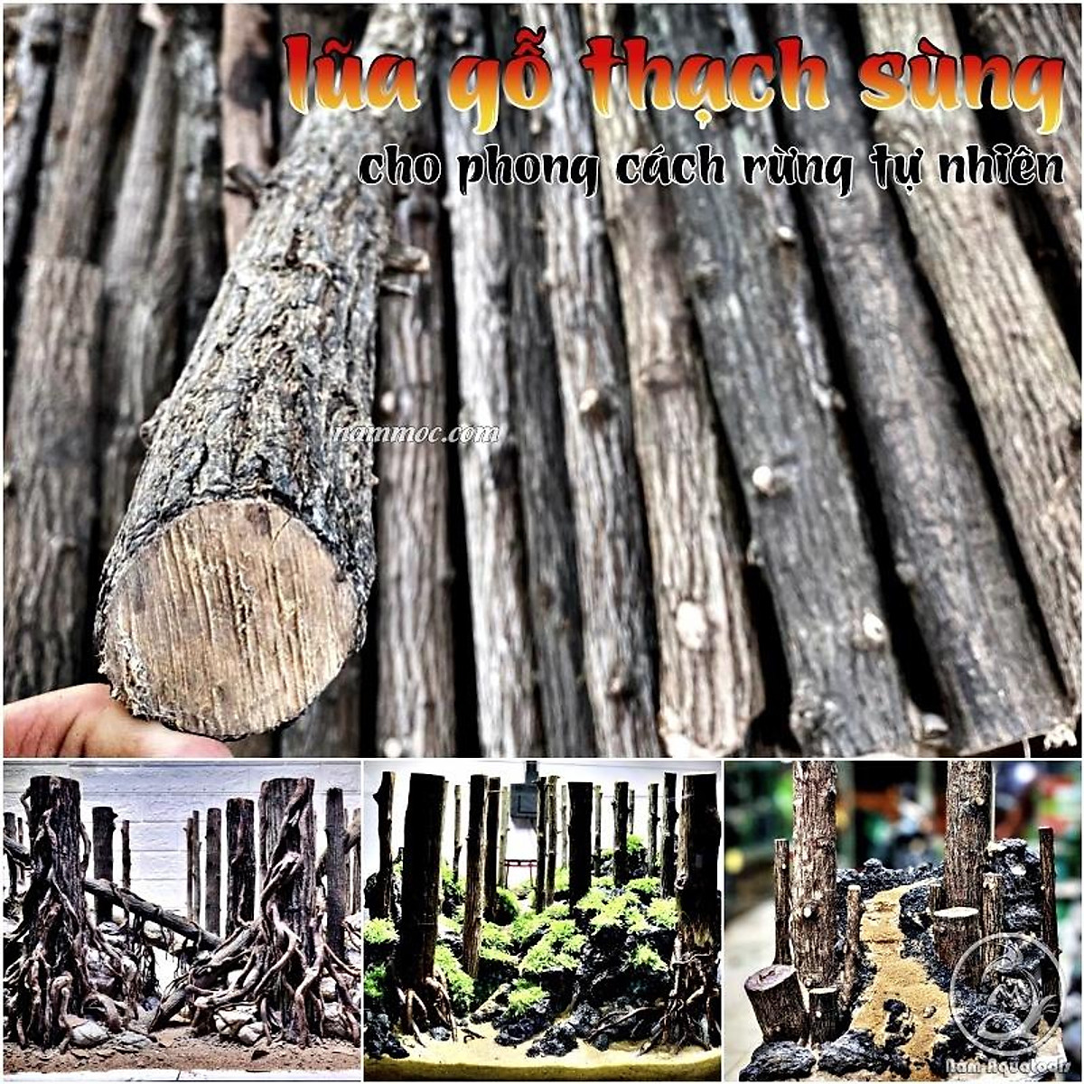 Lũa Gỗ Thạch Sùng (1kg) | Lũa Setup Layout Rừng Tự Nhiên Cho Bể Thủy Sinh