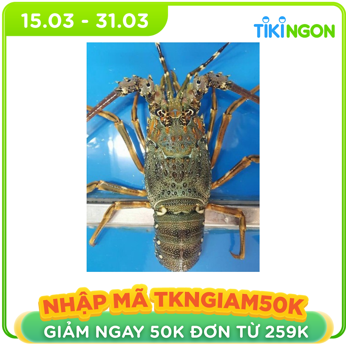 Tôm Hùm Xanh size 350g/con- 1kg - Tôm, cua, ghẹ, ốc