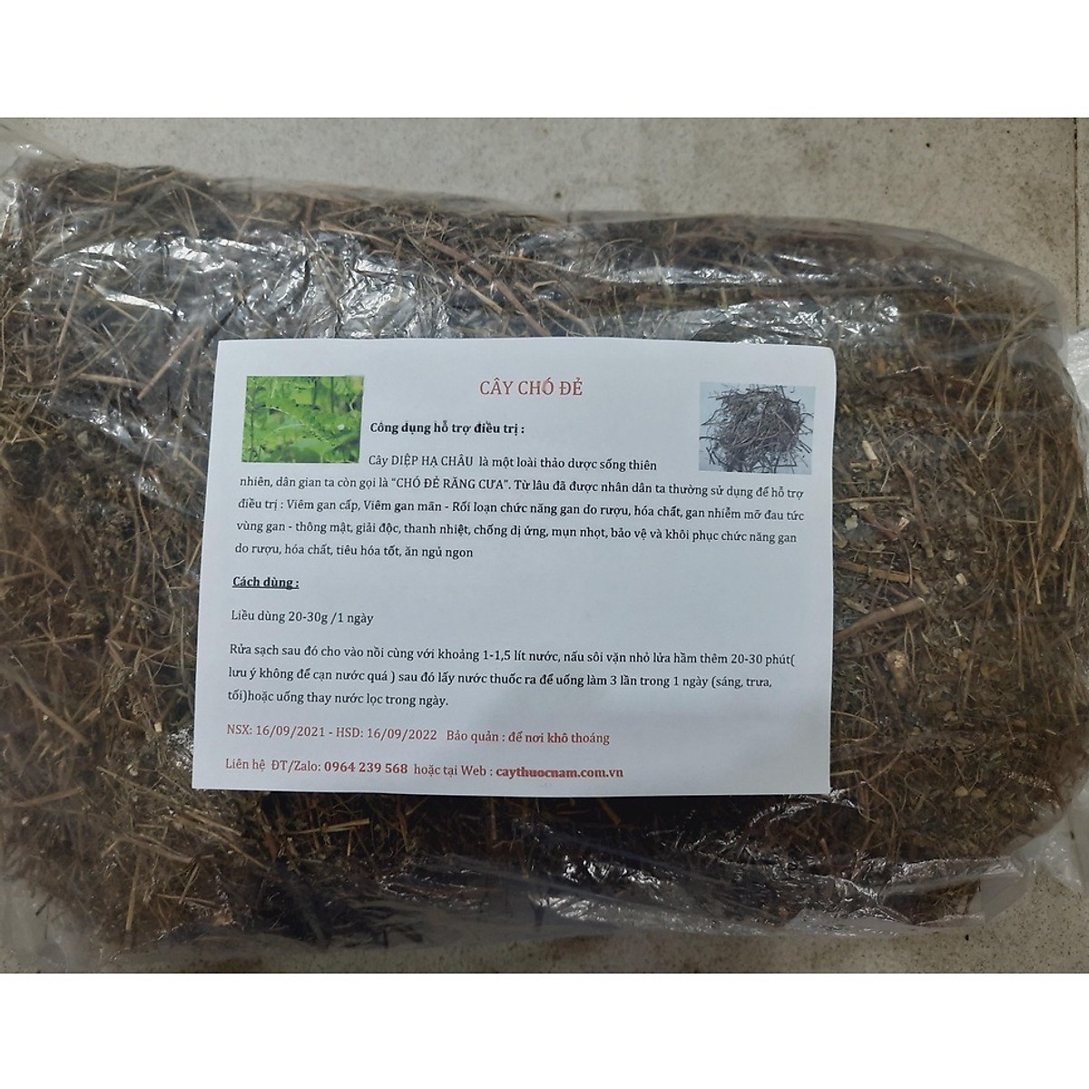 Cây chó đẻ phơi khô - Cây cảnh