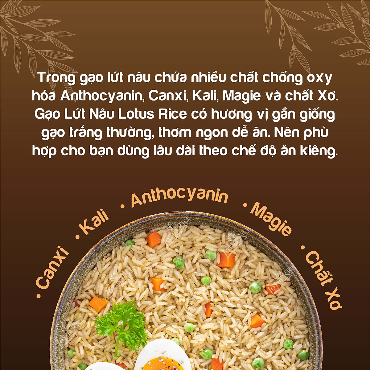 Gạo Lứt Nâu Lotus Rice 1kg - Tốt cho người ăn kiêng - Dễ ăn dễ nấu