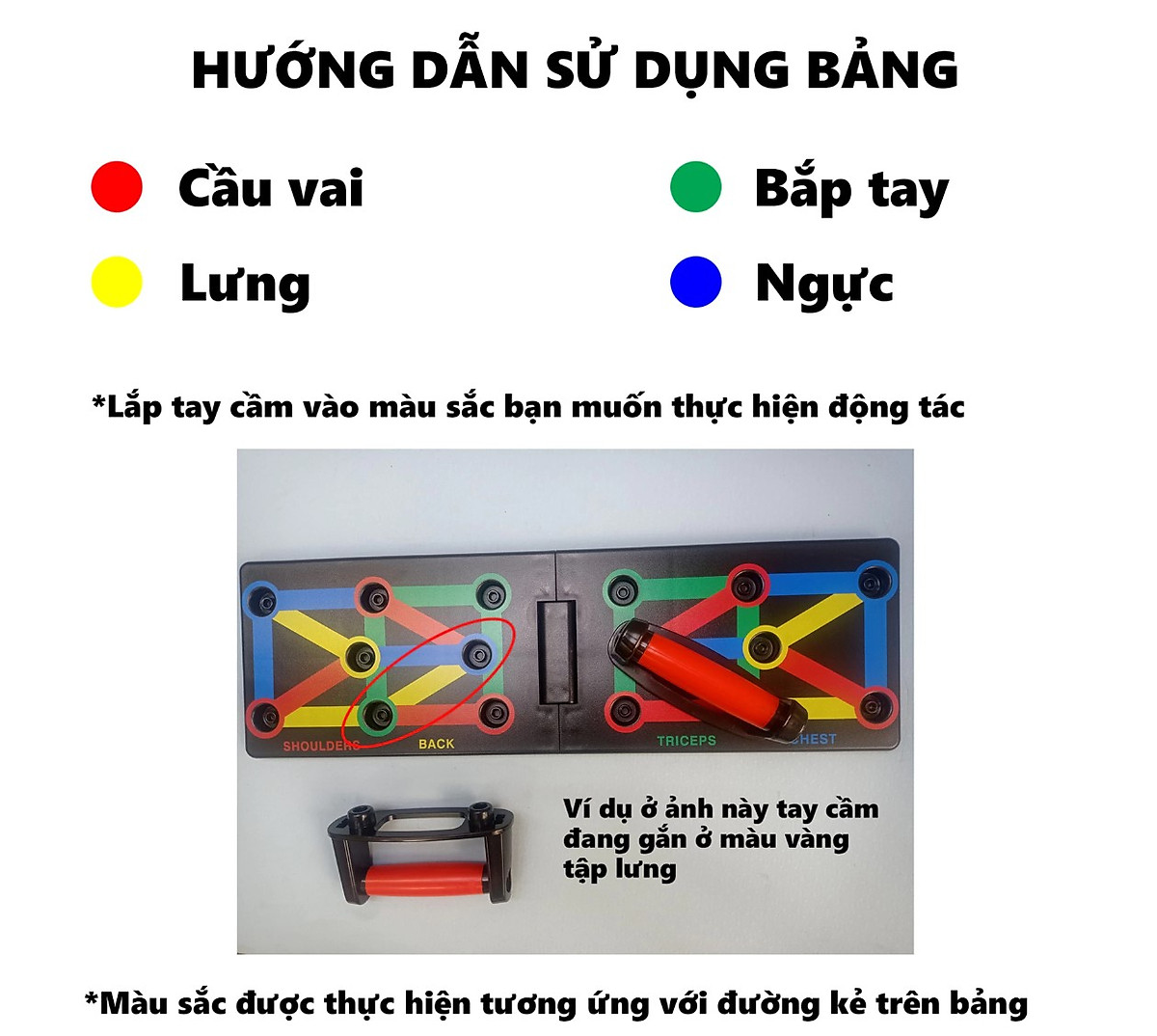 Bảng Dụng Cụ Tập Hít Đất , Tập Chống Đẩy Theo Màu Sắc, Mỗi Màu Sắc Sẽ Tương Ứng Với Bài Tập Khác Nhau Thiết Kế Dày Nhiều Bài Tập - Hàng Chính Hãng BORO SPORT