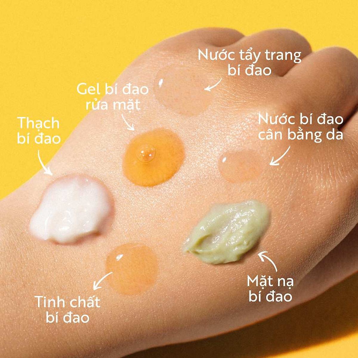 Sữa rửa mặt dạng Gel bí đao rửa mặt Cocoon 310ml