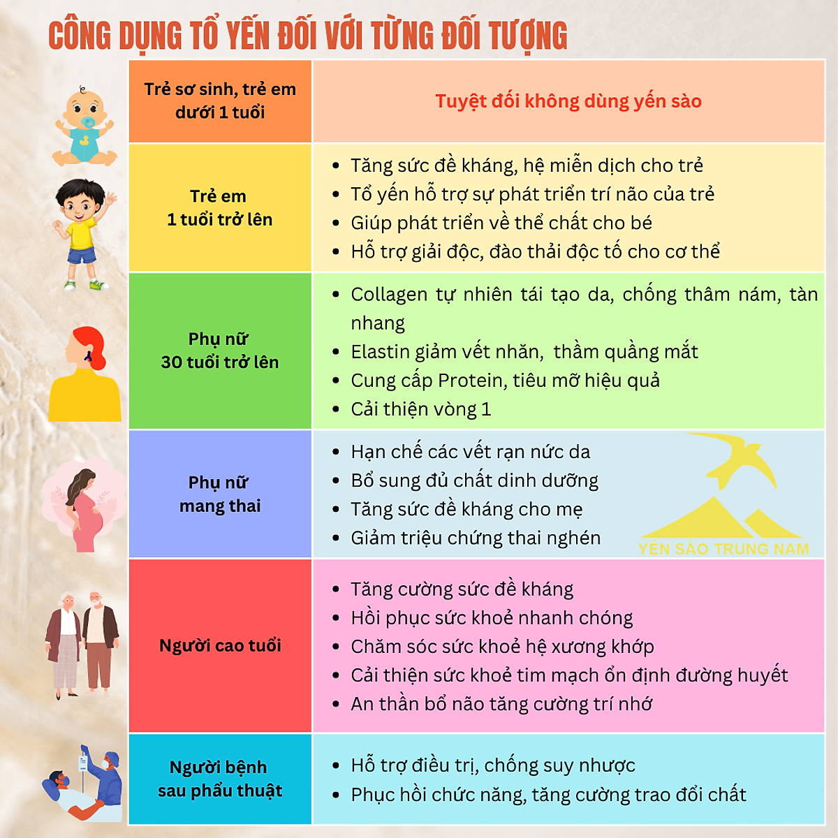 Tổ Yến Sào Tinh Chế (3 Tổ/24g/Hộp) (Tổ Yến làm sạch/Tổ Yến Sạch chế biến từ Tổ Yến Thô /Tổ Yến còn lông) Yến Sào Trung Nam