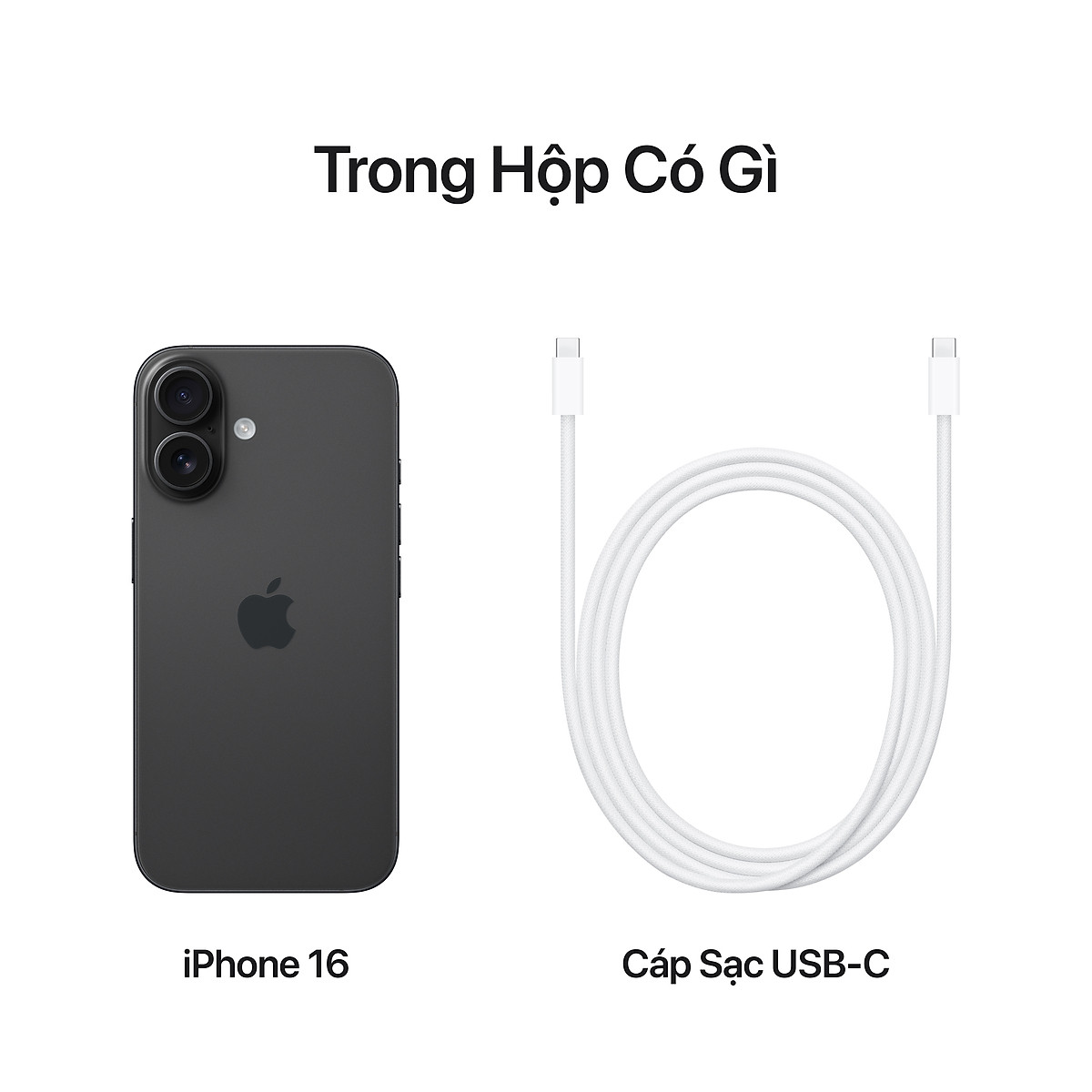 Apple iPhone 16