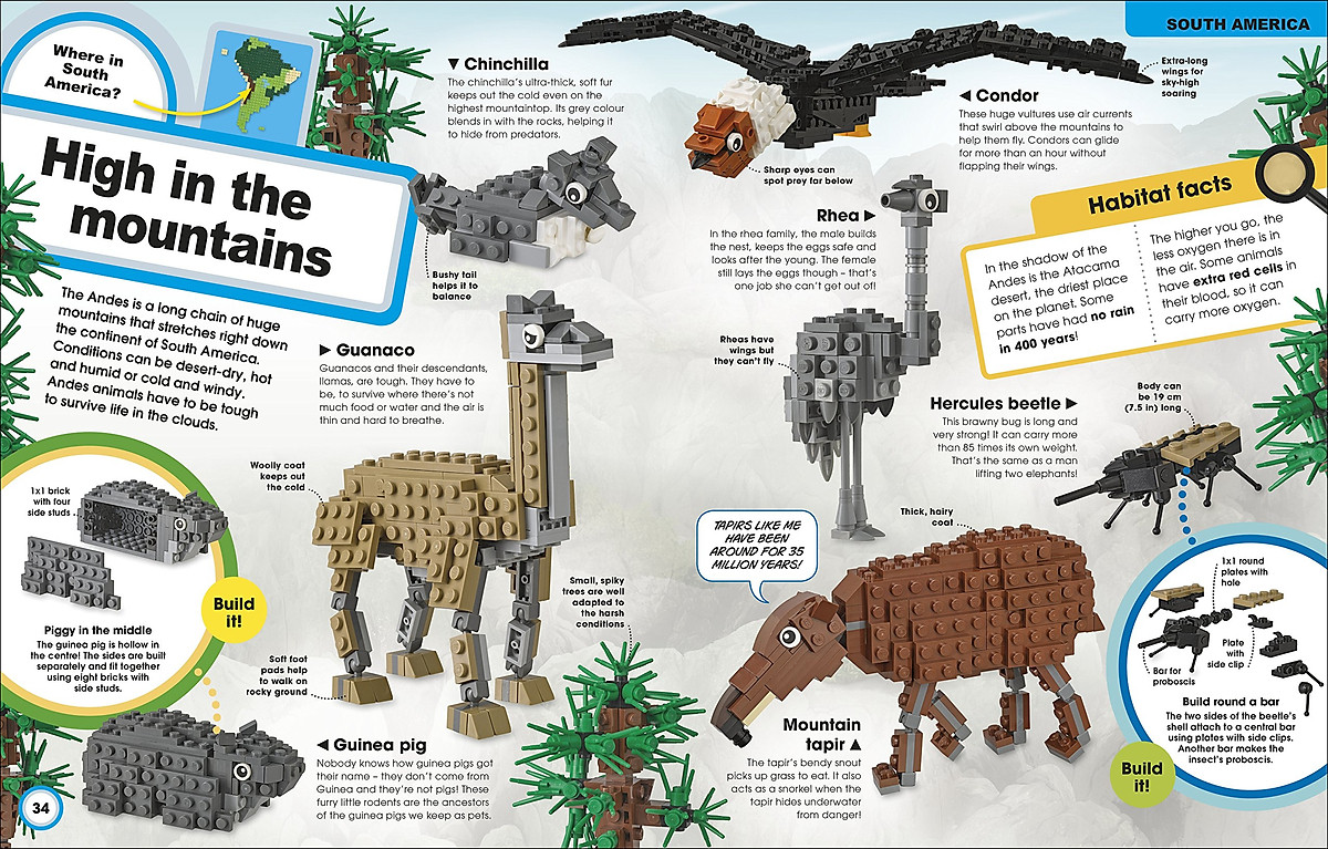 Lego Animal Atlas - Activity Lego Animal Atlas - Activity