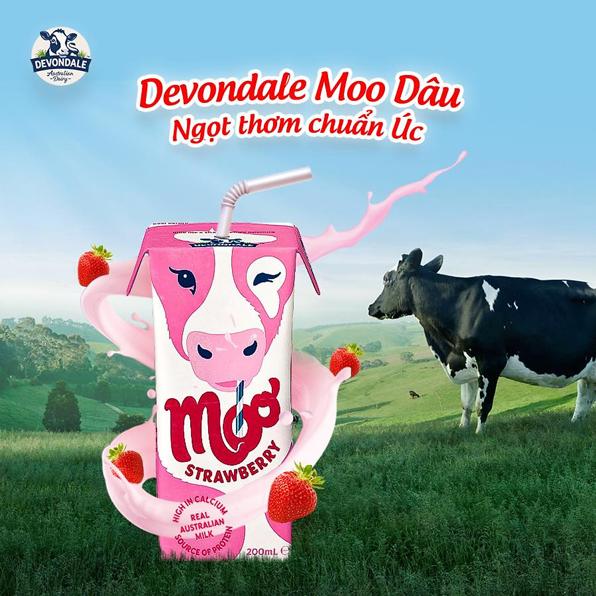 Lốc 6 Hộp Sữa Tươi Tiệt Trùng DEVONDALE Hương Dâu 200ML