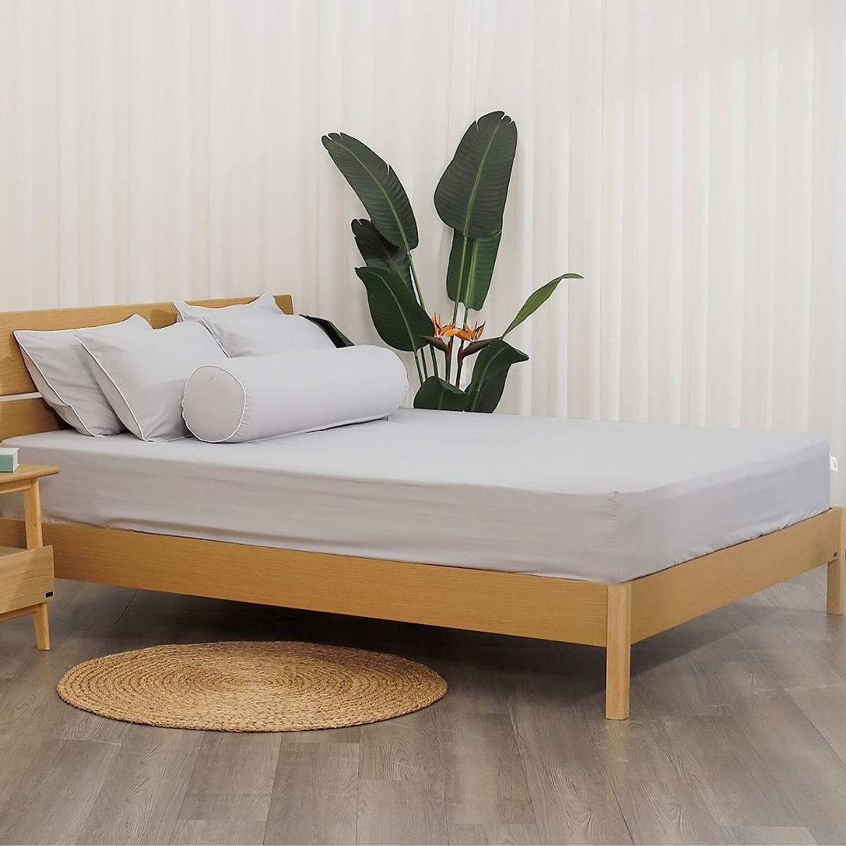 Bộ ga giường Hàn Quốc K-Bedding by Everon KMS chất vải Microfiber (không bao gồm chăn)