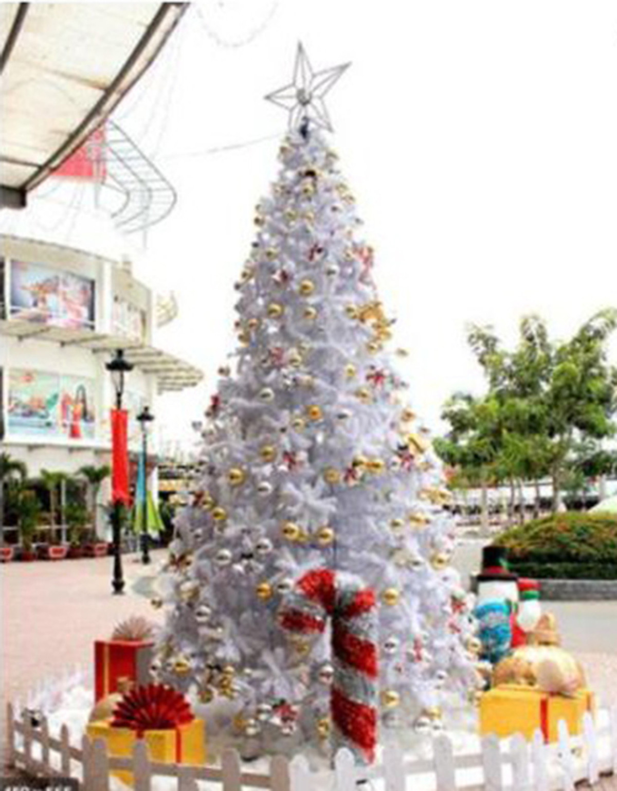 Cây thông noel màu trắng đầu tròn 2in (Cây 180cm) - Trang trí nhà ...