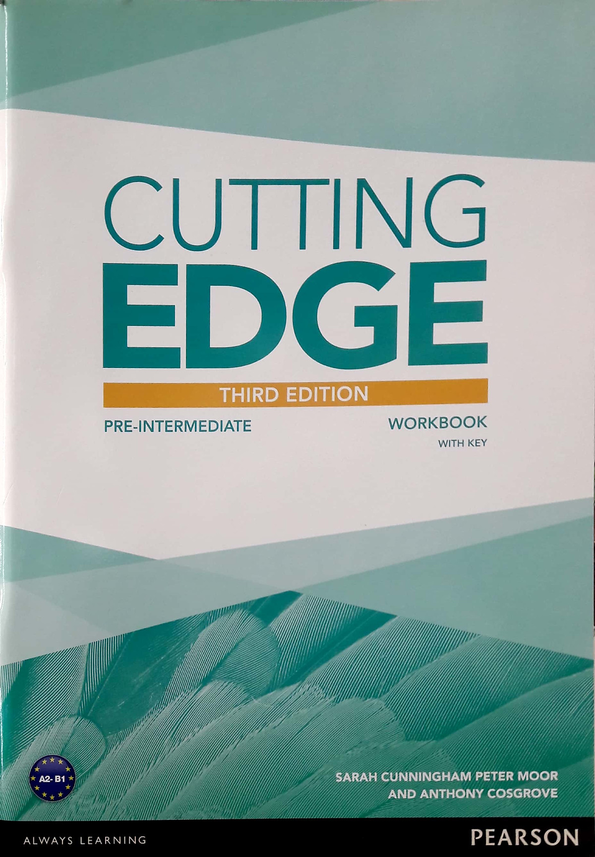 Cutting Edge Pre Intermediate Workbook With Key Tiki Cutting Edge Pre Intermediate Workbook With Key Tiki
