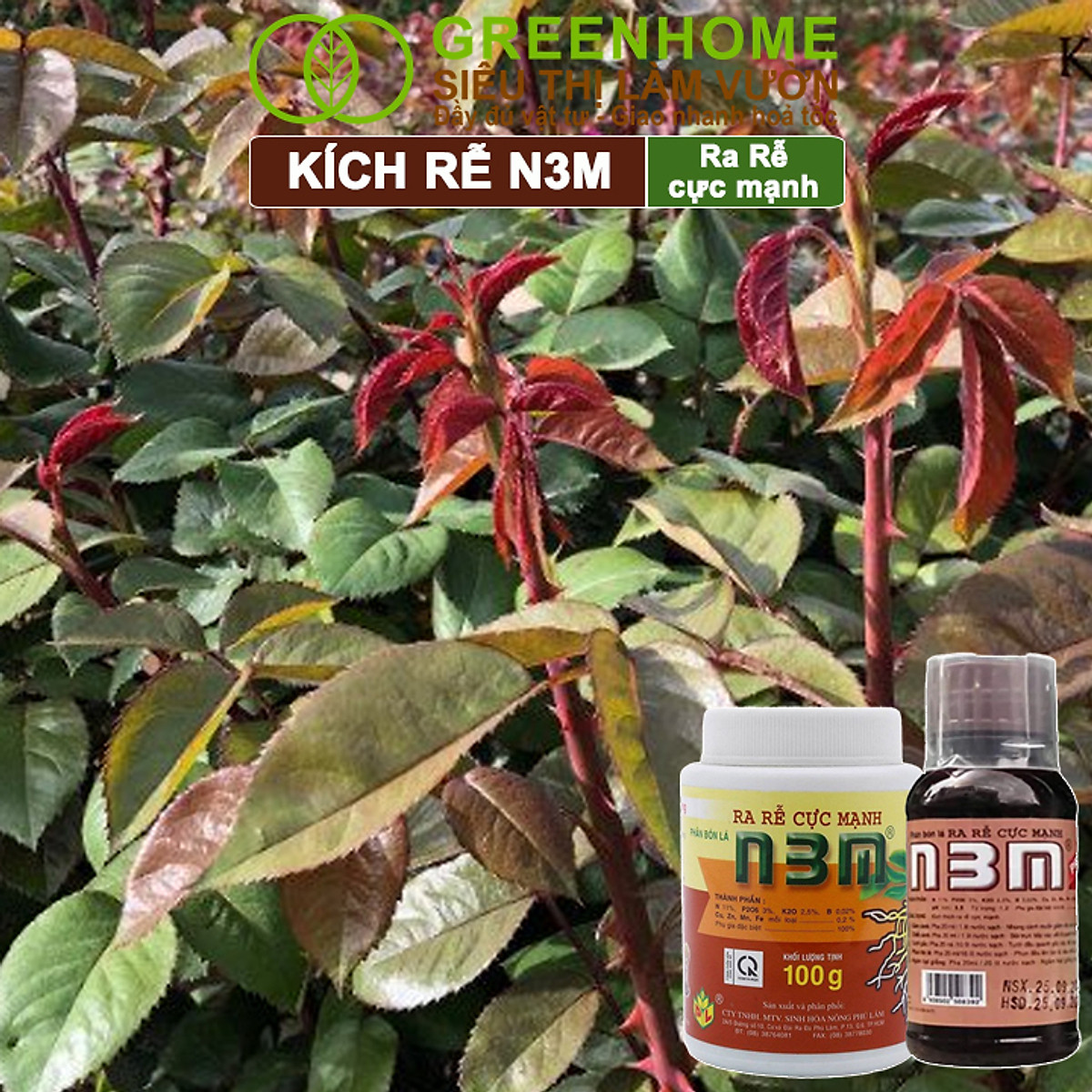 Phân Bón Lá Greenhome, N3M, Chai100ml, Ra Rễ Cực Mạnh Dùng Giâm, Chiết Cành, Ngâm Hạt Giống, Chuyên Kiểng, Hoa Hồng, Lan