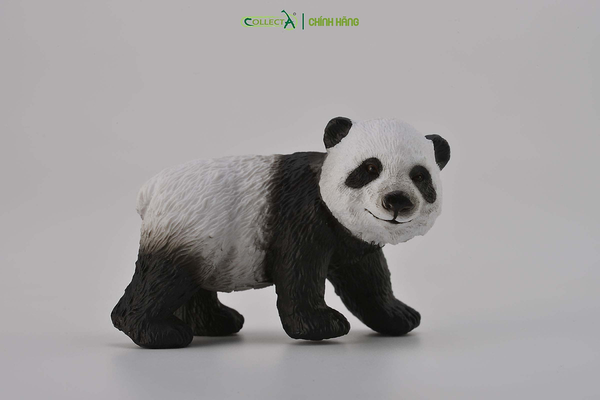 Mô hình thu nhỏ: Gấu Trúc con - Giant Panda Cub - Standing, hiệu ...