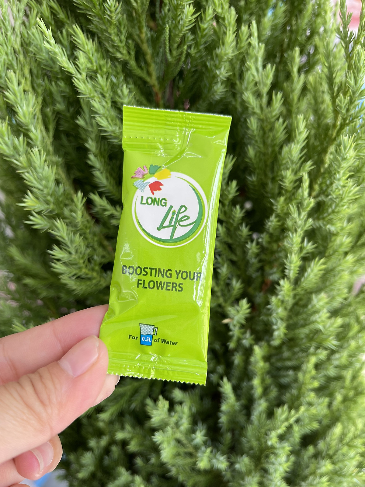 (COMBO 30 GÓI) GÓI DƯỠNG HOA TƯƠI LONGLIFE CỦA ISRAEL GIỮ HOA TƯƠI LÂU GẤP 2 LẦN VÀ 14 NGÀY KHÔNG THAY NƯỚC MỚI