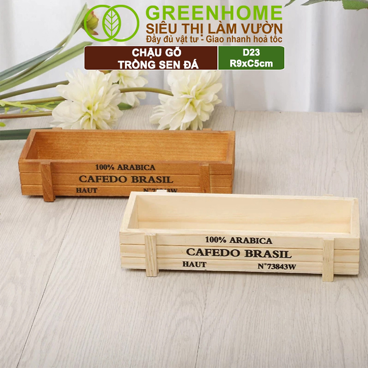 Chậu Gỗ Trồng Sen Đá Greenhome, Cafedo, D23xr9xc5cm, Trang Trí Cây Cảnh Để Bàn, Xương Rồng, Nhiều Màu Để Lựa Chọn
