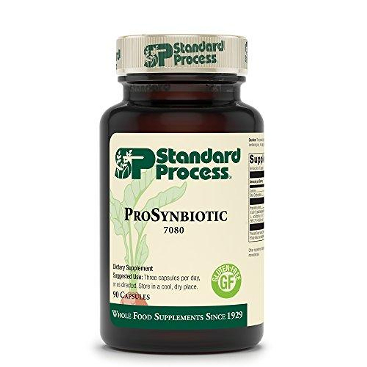 Standard Process Supplements New York City Ny Standard Process - ProSynbiotic - 90 Capsules | Tiki