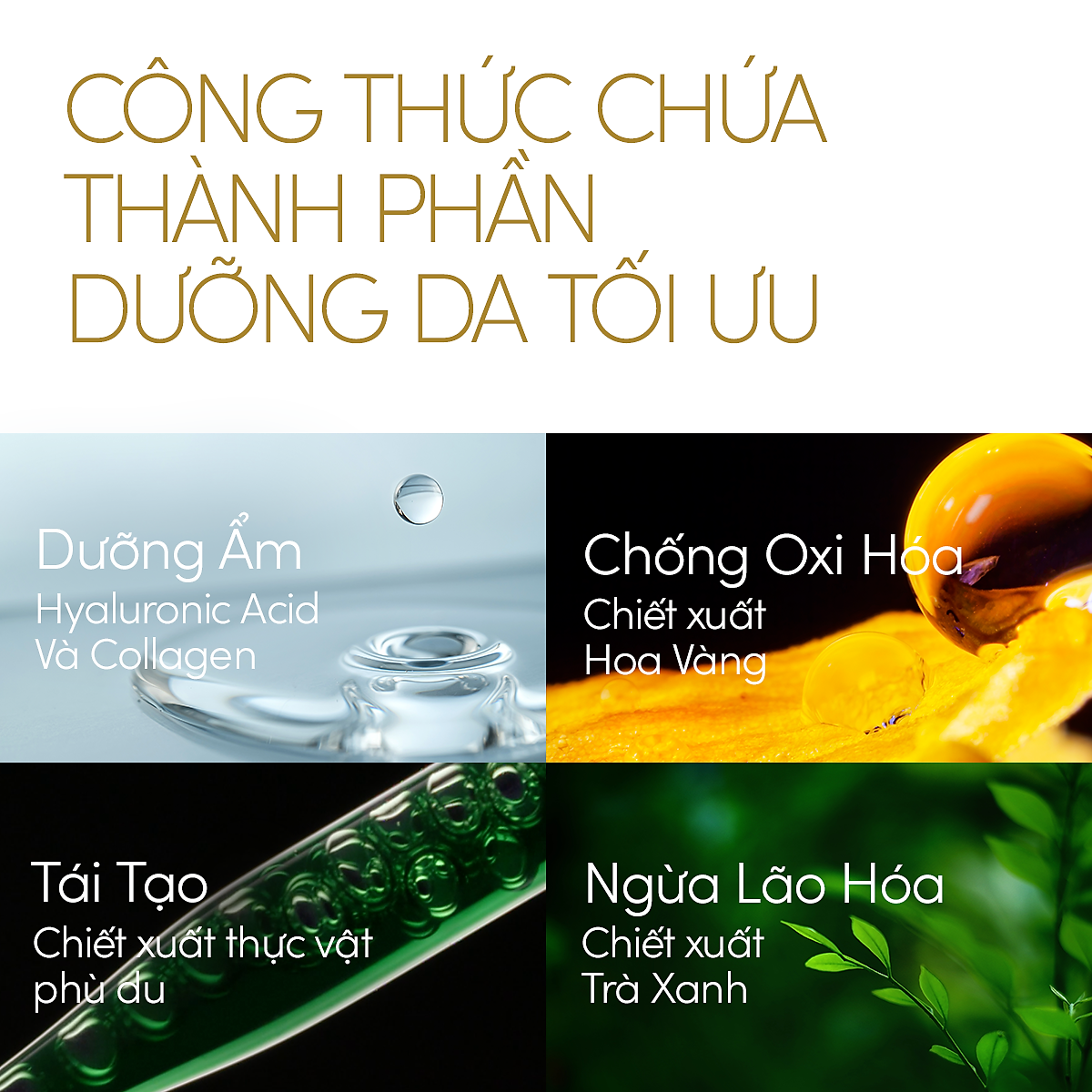 Serum chống nắng dưỡng da nâng tông Anessa Day Serum SPF50+ PA++++ 30ml