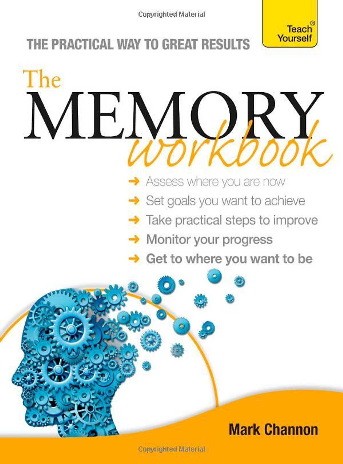 The Memory Workbook (Teach Yourself)