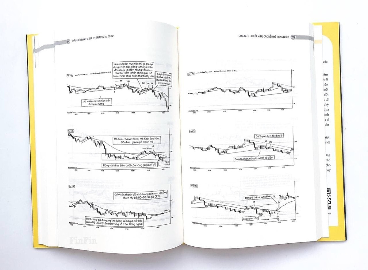 Thấu hiểu Hành vi giá Thị trường Tài chính (Understanding Price Action)