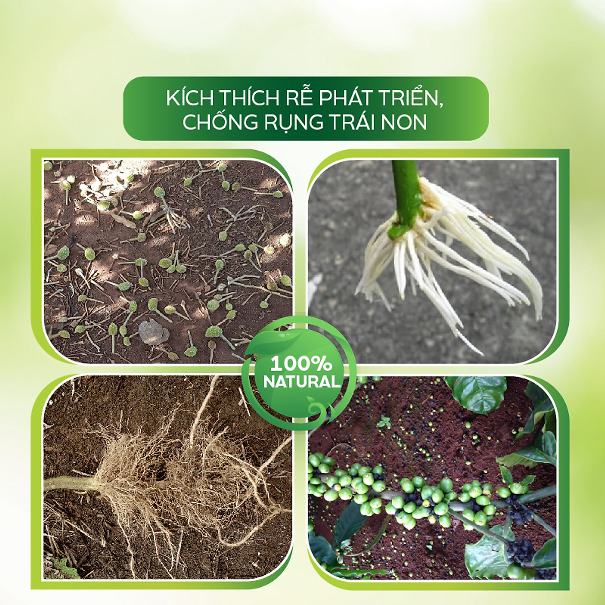 Mua Phân Bón Hữu Cơ Sinh Học Humic Kích Rễ, Bật Chồi, Giải Độc Hữu Cơ Thay  Thế Đạm Cá - Humic AT Đậm Đặc 1kg | Tiki