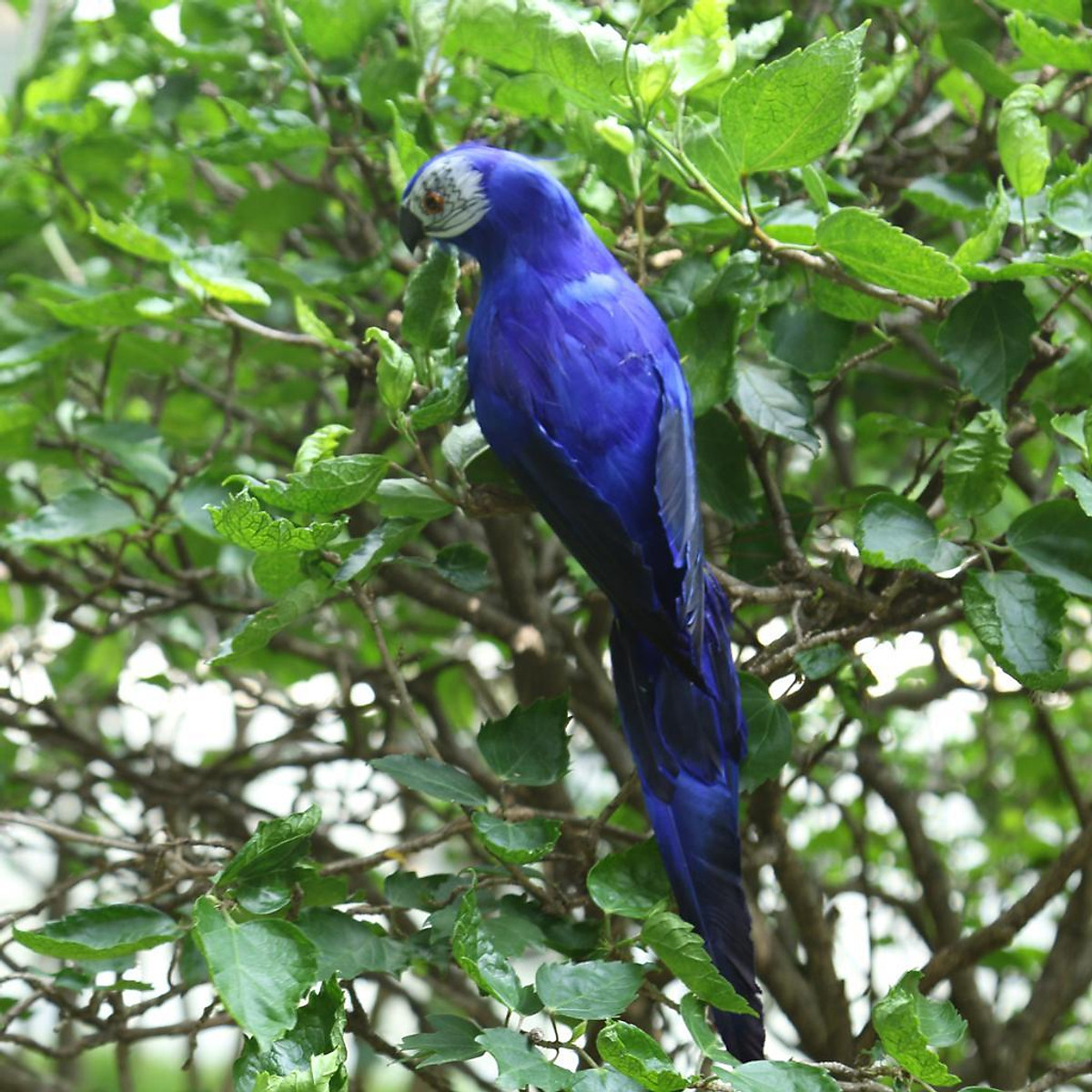 2x True to Nature Parrot Desktop Ornament Artificial Animal Bird Yellow Blue