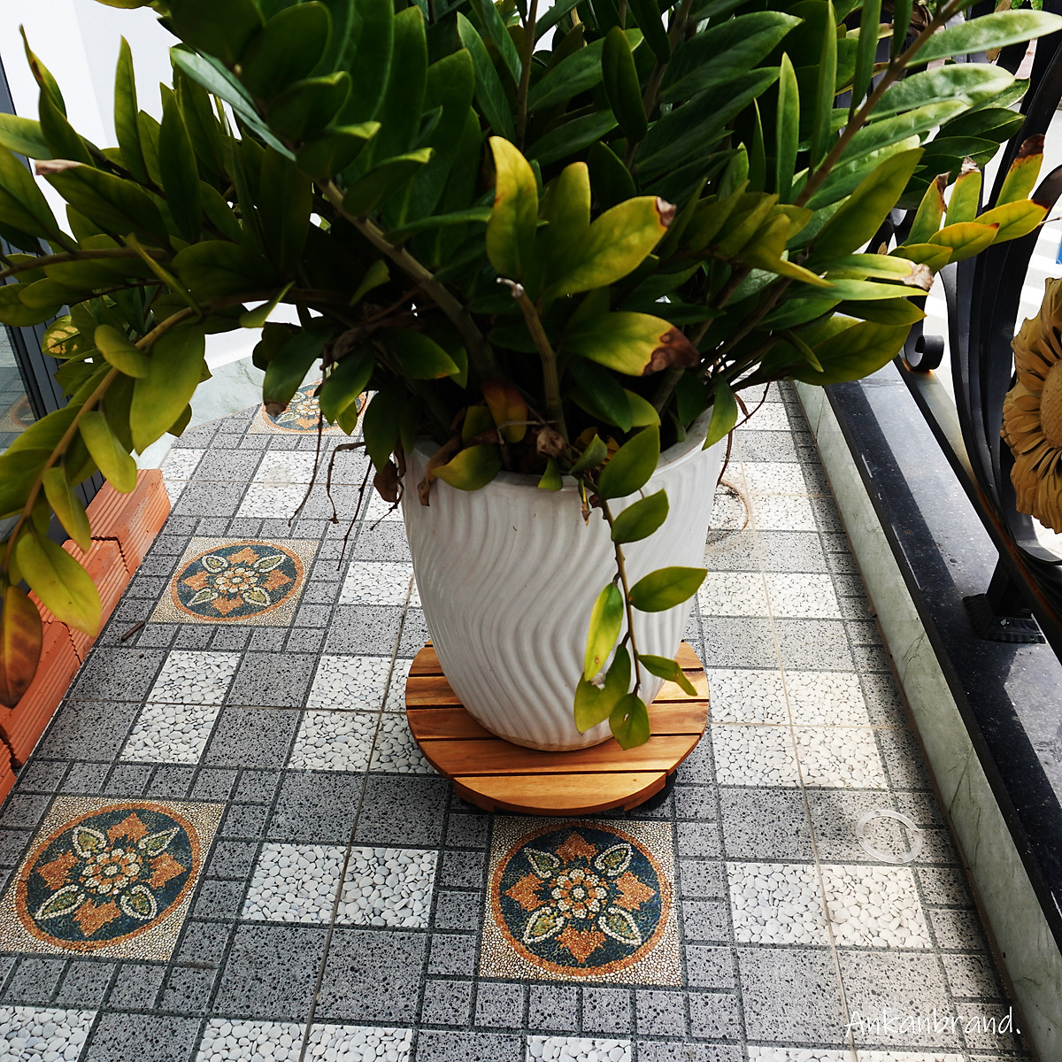 Đế Lót Chậu Cây Có Bánh Xe Cỡ Lớn Đường Kính 35cm Dùng Để Đặt Chậu Cây Chậu Hoa Trong Nhà Và Ngoài Sân