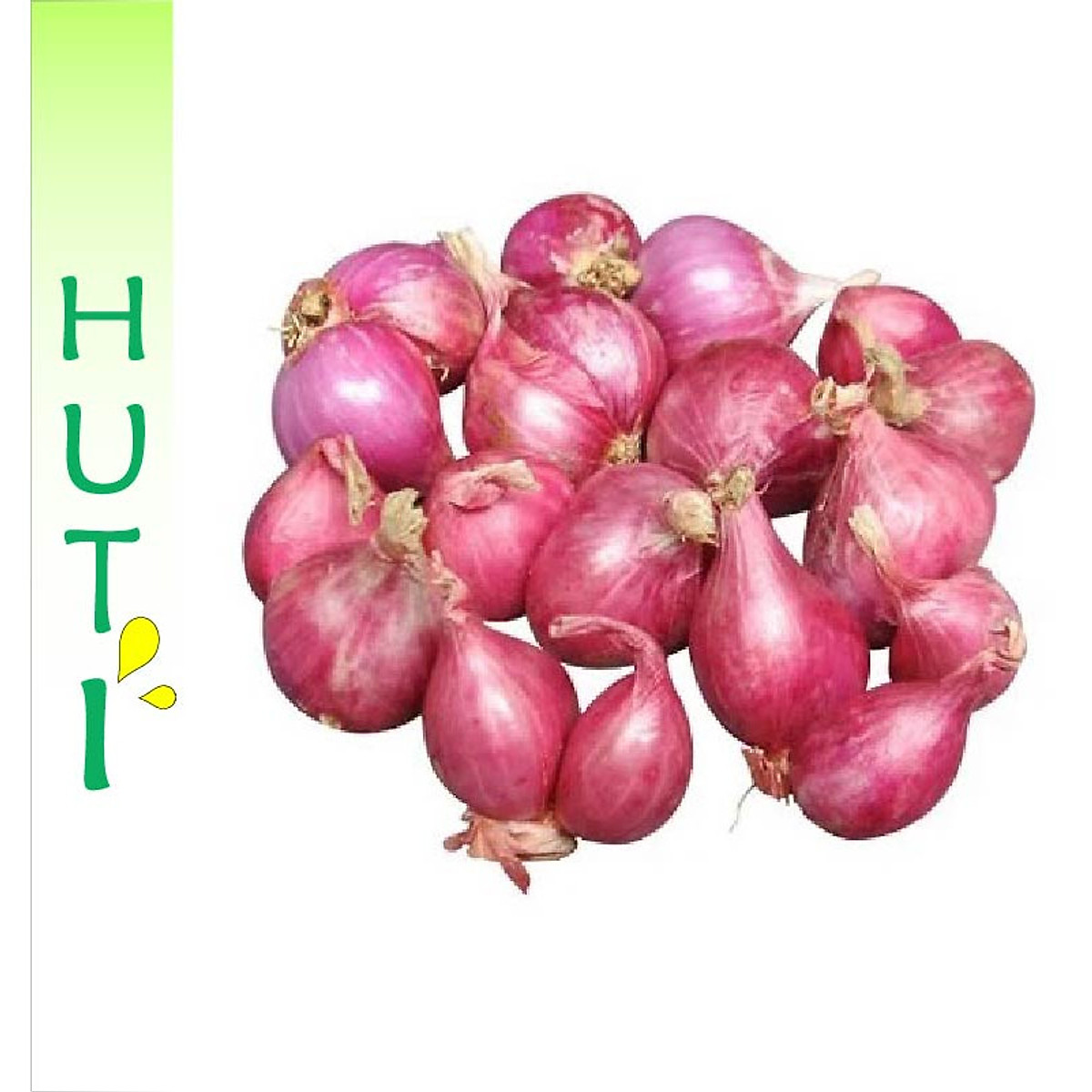 6 Lợi Ich Của Củ Hanh Tim đối Với Sức Khỏe Tin Tức Mới Nhất 24h đọc Bao Lao động Online Laodong Vn