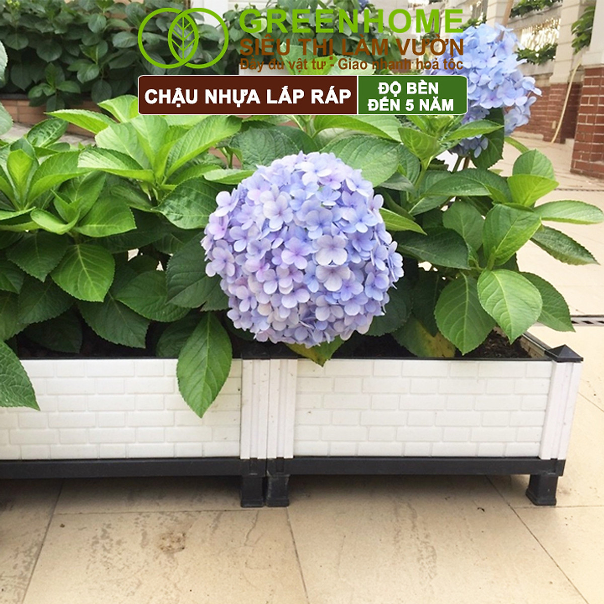 Chậu Trồng Cây Greenhome, Nhựa Nguyên Sinh Lắp Ráp, Nhiều Kích Thước, Trồng Hoa Hồng, Rau, Củ, Quả, Độ Bền 5 Năm