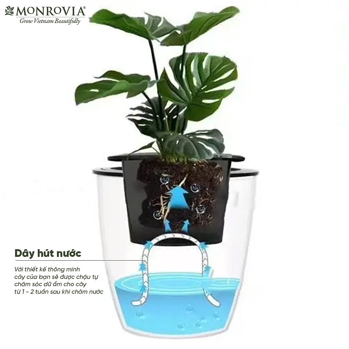 Chậu tự tưới treo tường Monrovia, treo hoa ban công, trong nhà, sang trọng, tiện lợi, tiêu chuẩn châu Âu