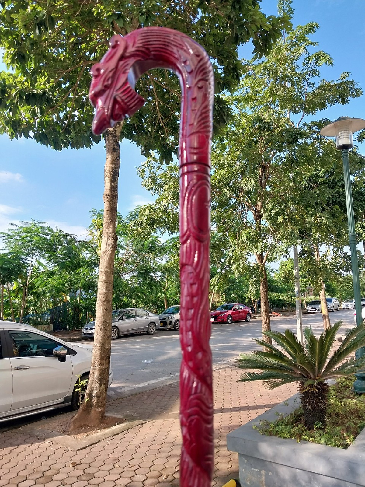 Gậy chống cho người già