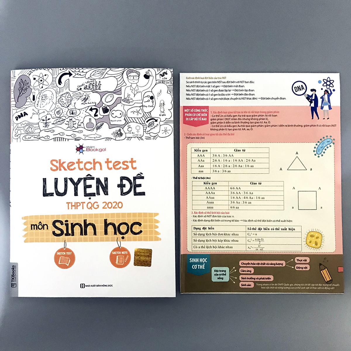 Luyện thi Tổ hợp KHTN: Sketch Test Luyện Đề THPT QG 2020 môn Vật Lí, Hóa học, Sinh học