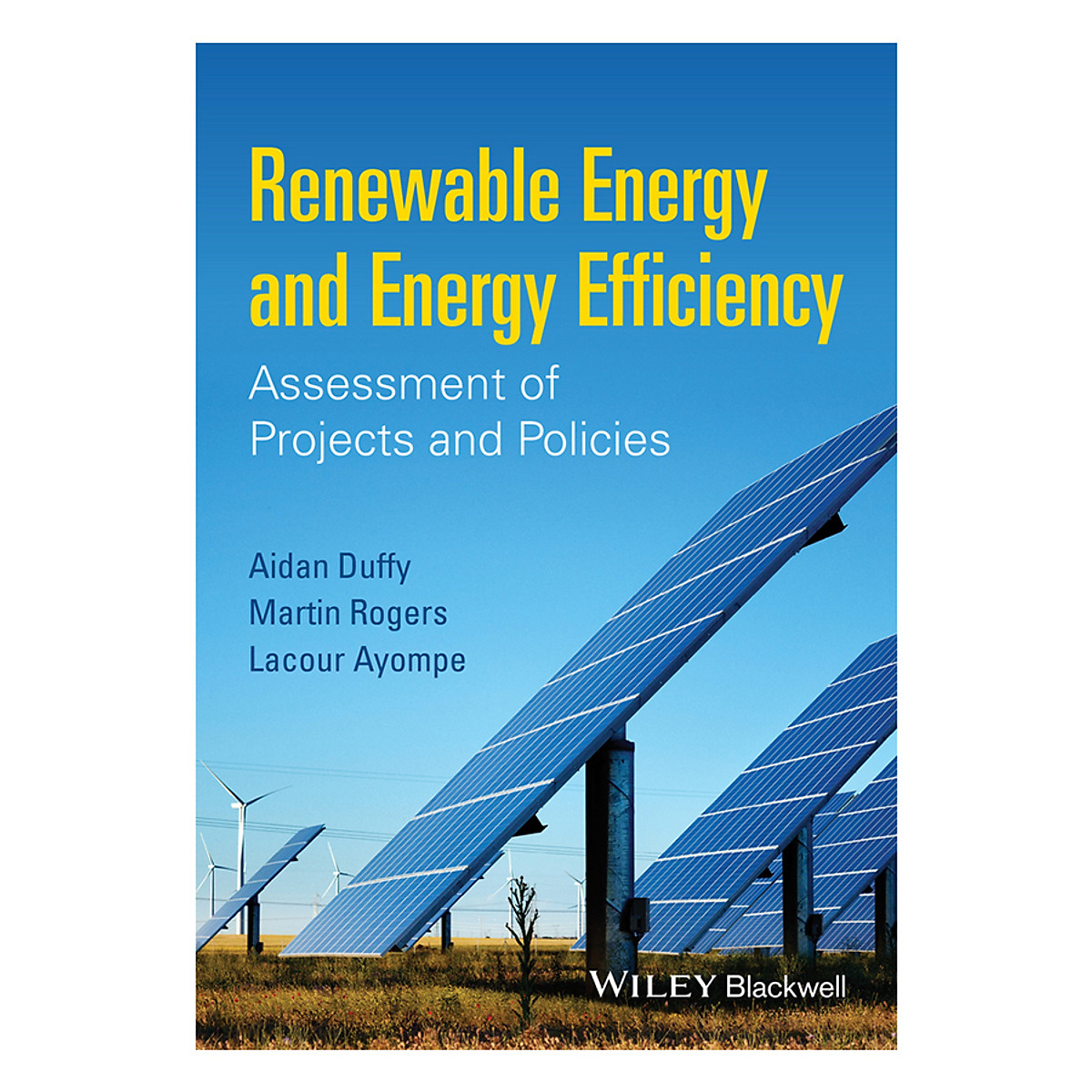 Renewable Energy And Energy Efficiency - Assessment Of Projects And Policies