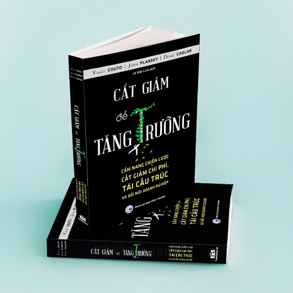 Cắt Giảm Để Tăng Trưởng- Cẩm Nang Chiến Lược Tái Cấu Trúc và Đổi Mới Doanh Nghiệp