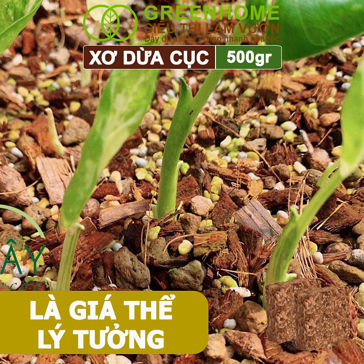 Xơ Dừa Cục Greenhome, Viên 500gr, Sơ Dừa Nén, Nở Gấp 5 Lần, Kích Thích Rễ, Thoát Nước Tốt Giá Thể Kiểng Lá, Phong Lan