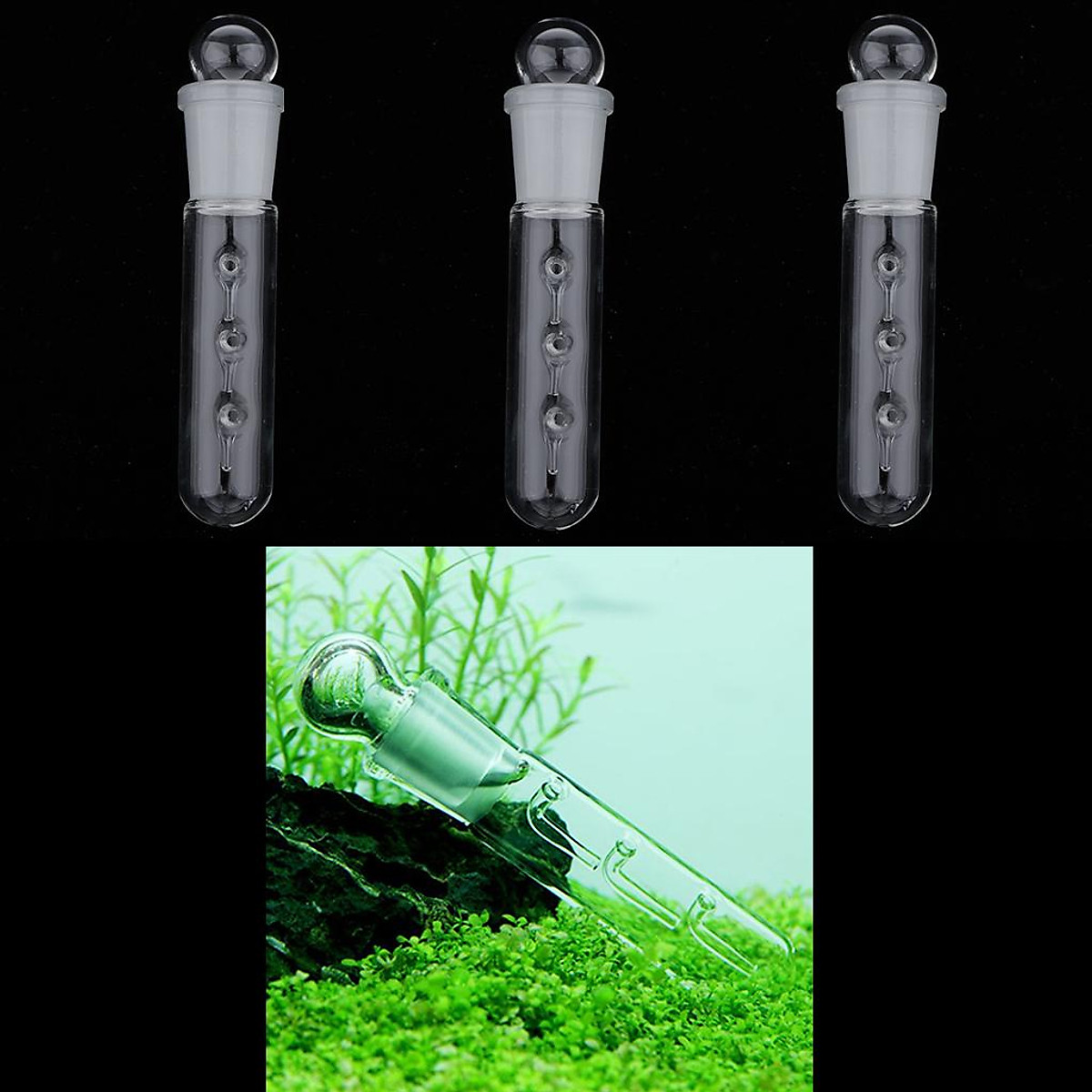 Mua 3pcs Worm Leech Catch Trapping Tube Planaria Trap for Aquarium