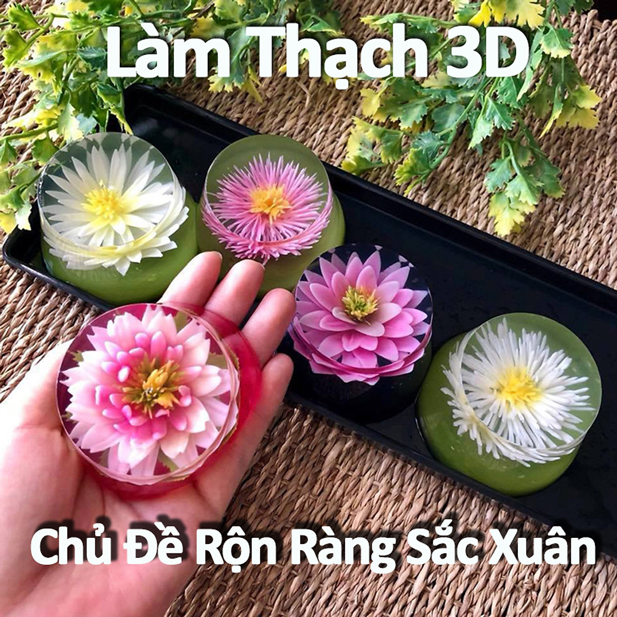 Khóa Học Làm Thạch 3D - Chủ Đề Rộn Ràng Sắc Xuân