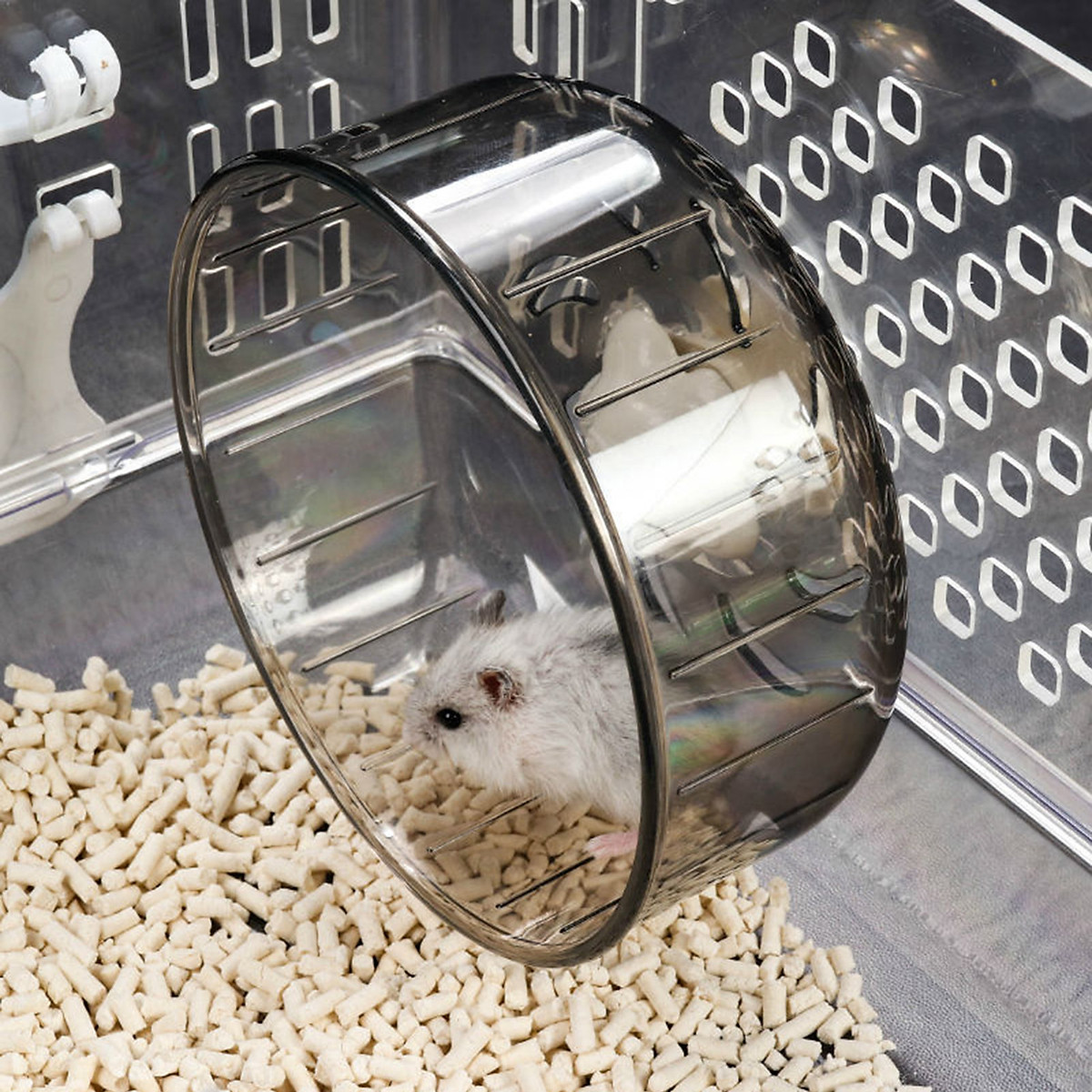 Mua Pet Hamster Running Disc Flying Exercise Wheel Hamster Mouse Pet Sports Wheel Toy Cage Accessories 13cm Mua Pet Hamster Running Disc Flying Exercise Wheel Hamster Mouse Pet Sports Wheel Toy Cage Accessories 13cm