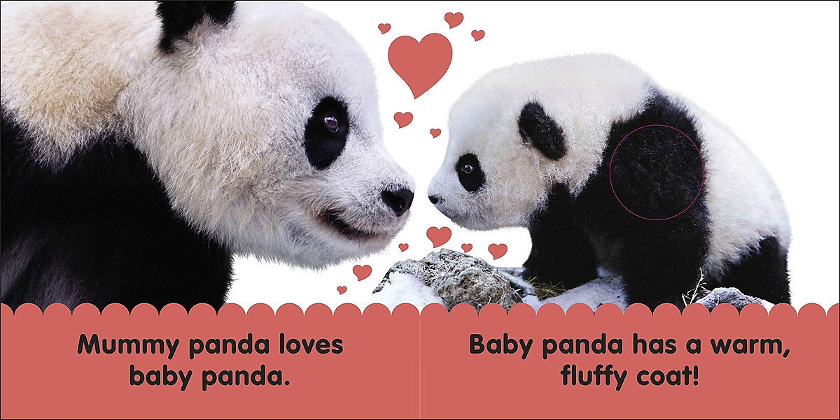 Baby Touch And Feel Panda