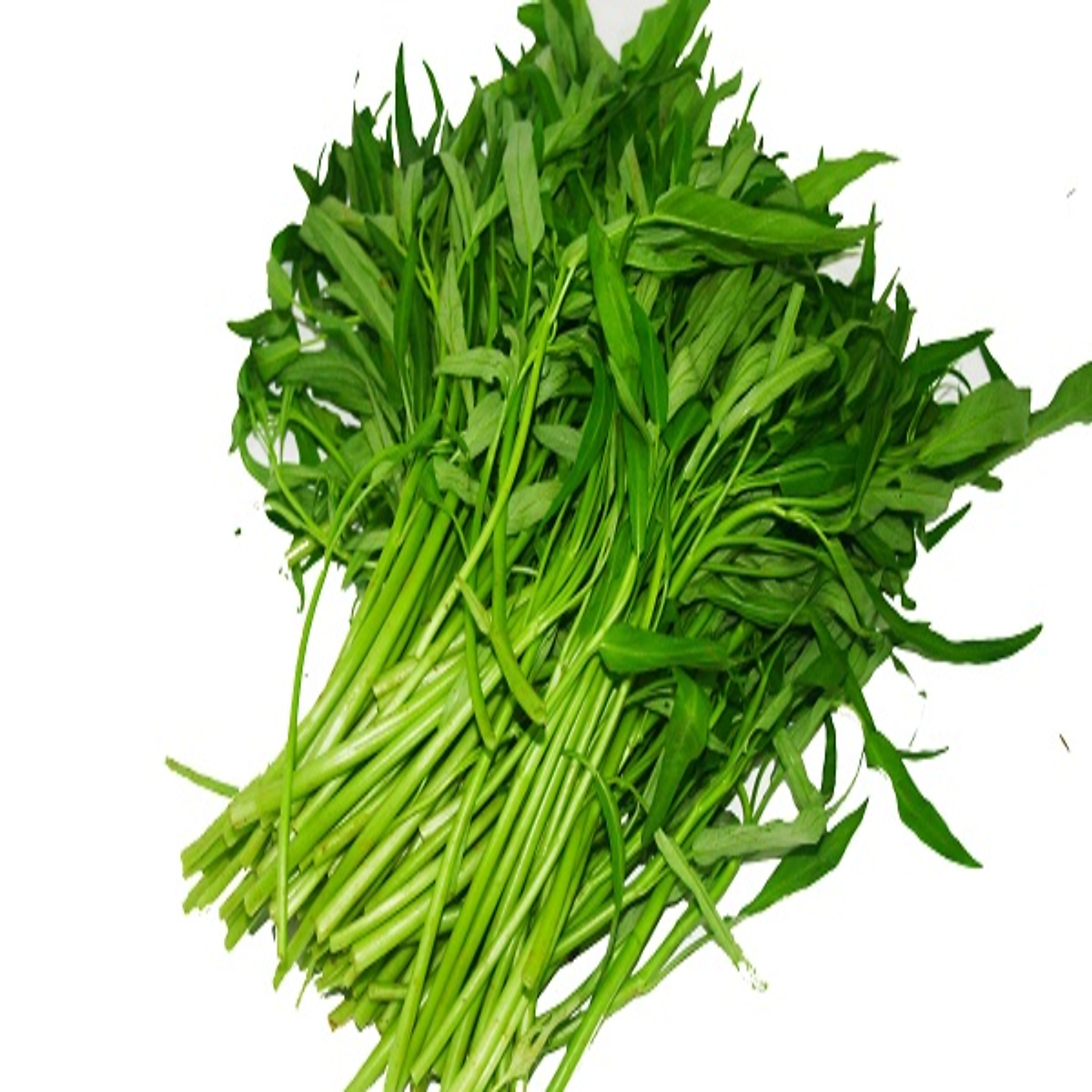 Rau muống CHOICE L 450g (gói) - [400200060000] - Rau xanh, rau tươi