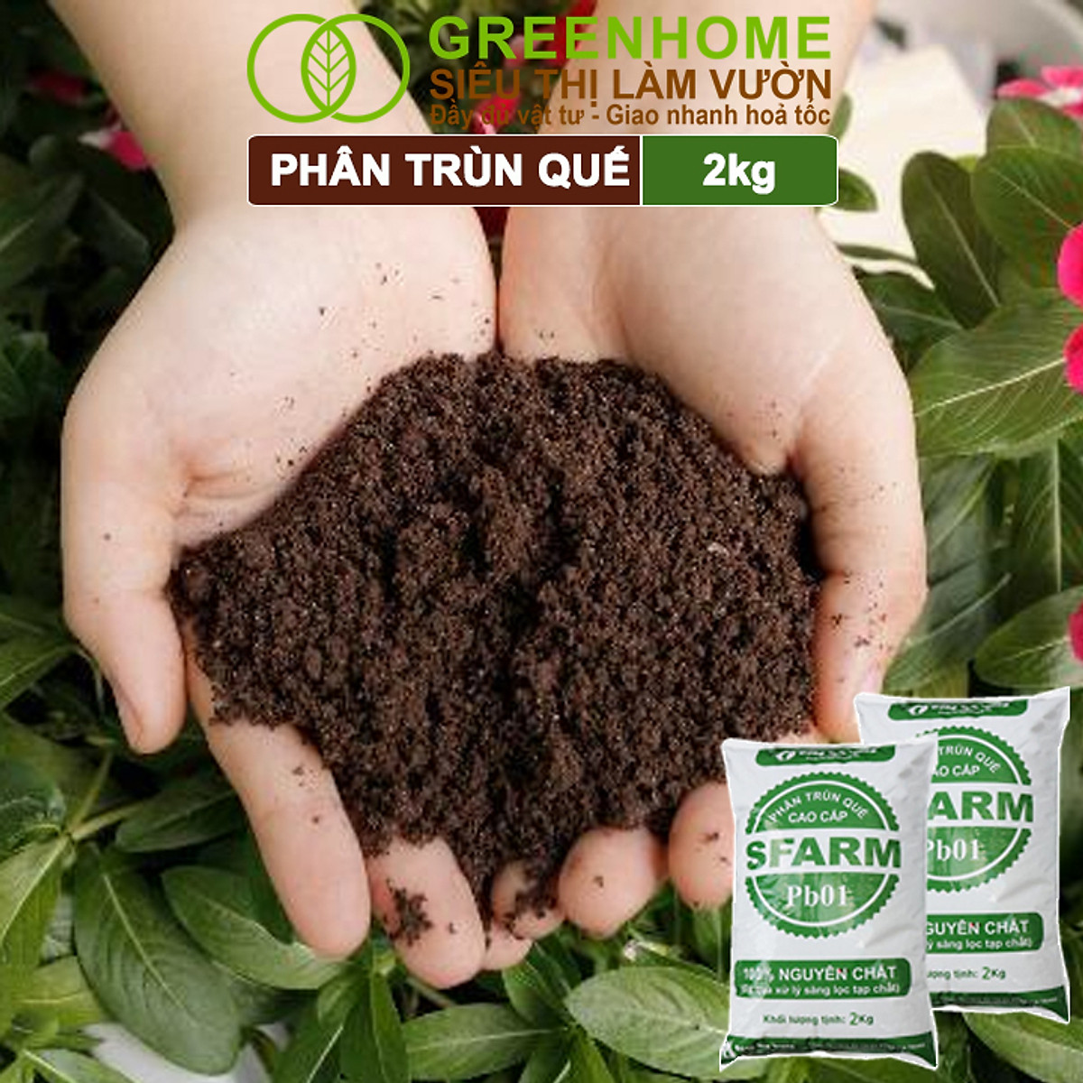 Phân Trùn Quế Greenhome, Bao 2kg, Dinh Dưỡng Hữu Cơ, Không Mùi, Tốt Cho Lan, Bonsai, Rau, Cây Ăn Trái