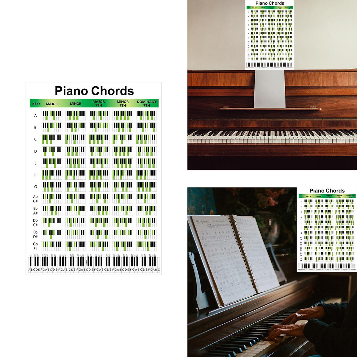 Illustrated Piano Fingering Chart Educational Small+Large - Nhạc cụ