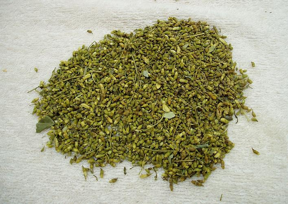 1kg trà hoa hòe