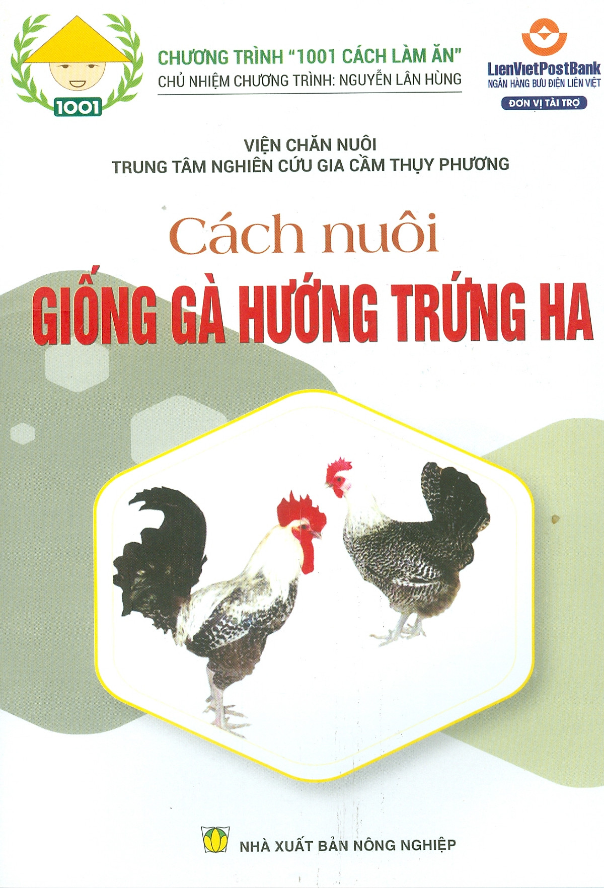 Cách Nuôi GIỐNG GÀ HƯỚNG TRỨNG HA