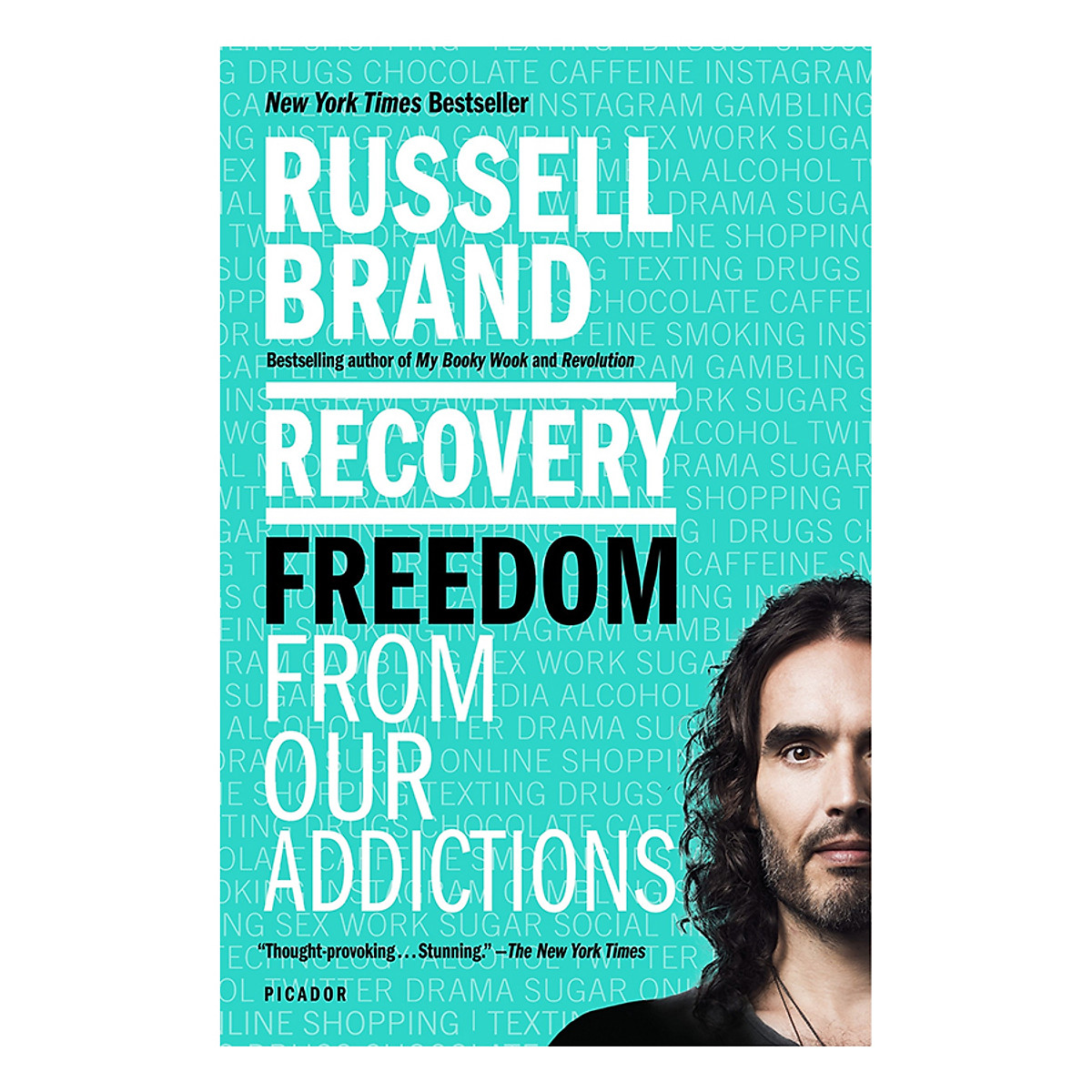 [Hàng thanh lý miễn đổi trả] Recovery: Freedom From Our Addictions (Paperback)