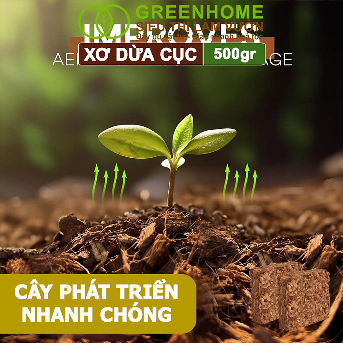 Xơ Dừa Cục Greenhome, Viên 500gr, Sơ Dừa Nén, Nở Gấp 5 Lần, Kích Thích Rễ, Thoát Nước Tốt Giá Thể Kiểng Lá, Phong Lan