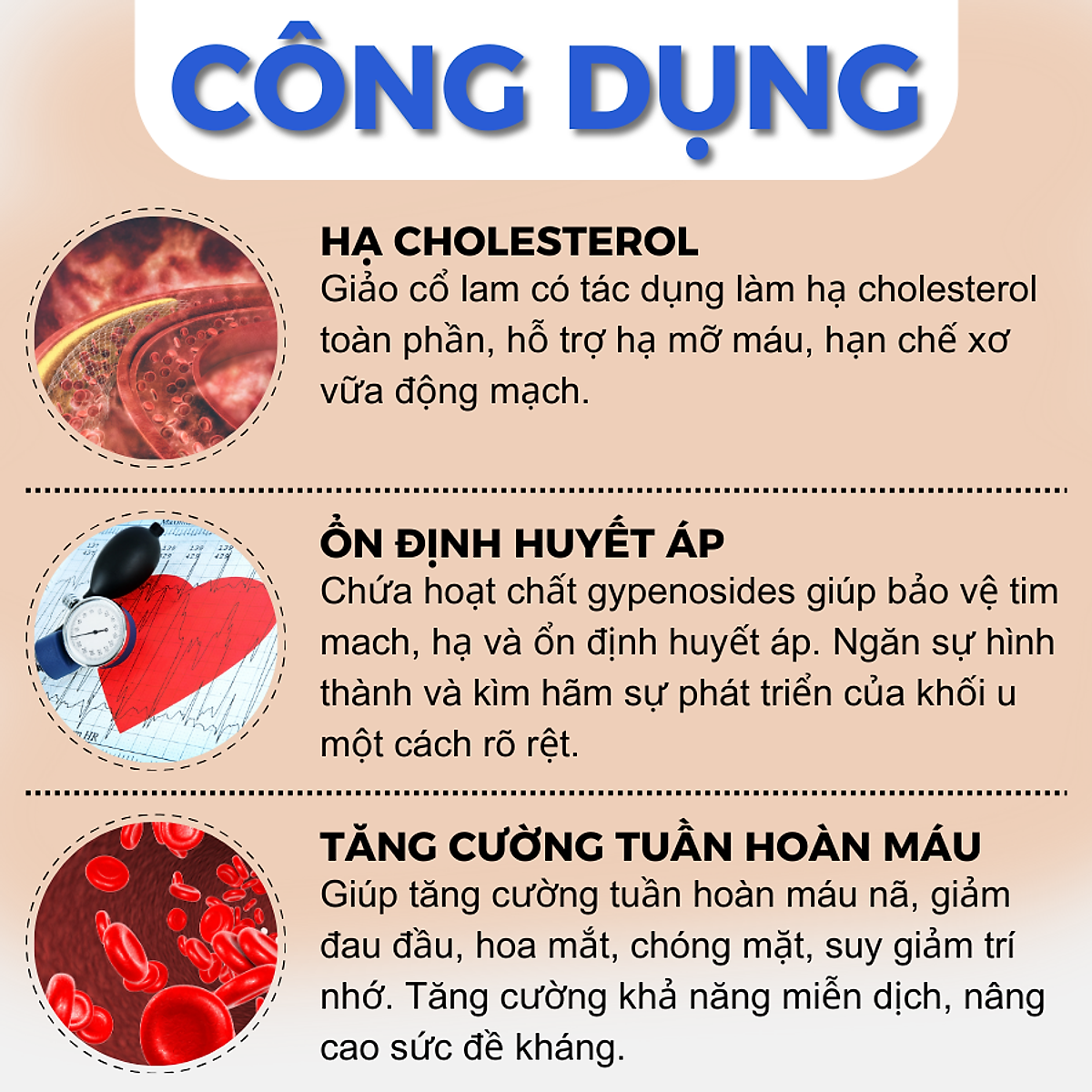 Trà giảo cổ lam mộc can túi lọc Mộc Can ổn định huyết áp, giảm mỡ máu hỗ trợ ngăn ngừa xơ vữa mạch máu gói 25 túi